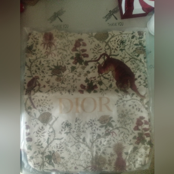 NWT DIOR TOTE. - Picture 1 of 5